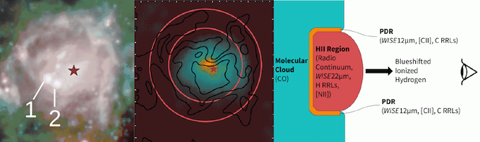 molucular